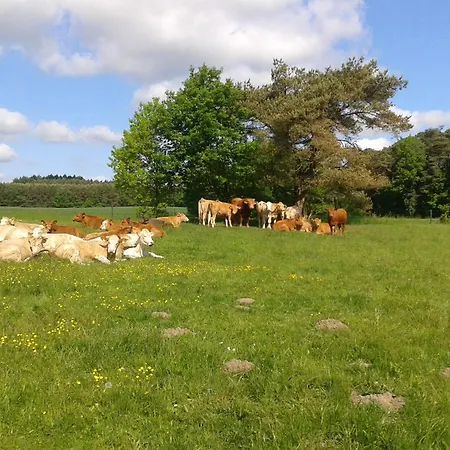 דירה In Nahe Ostsee