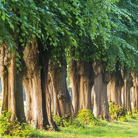 In Nahe Ostsee * Zarnewanz