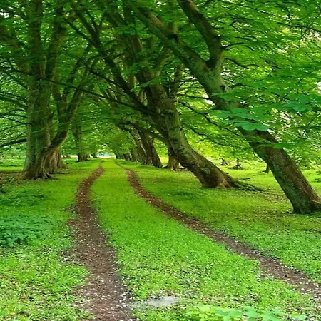 Peaceful In Near Baltic Sea