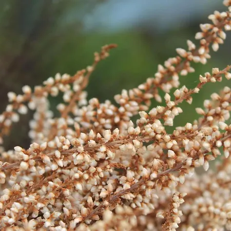 In Nahe Ostsee Zarnewanz