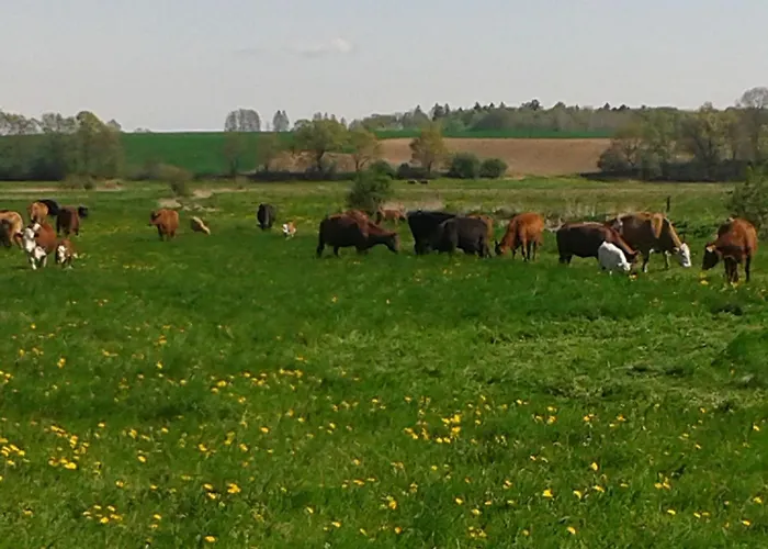 In Nahe Ostsee * Zarnewanz