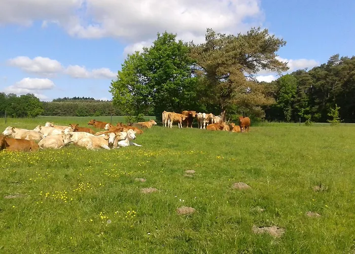 Διαμέρισμα In Nahe Ostsee