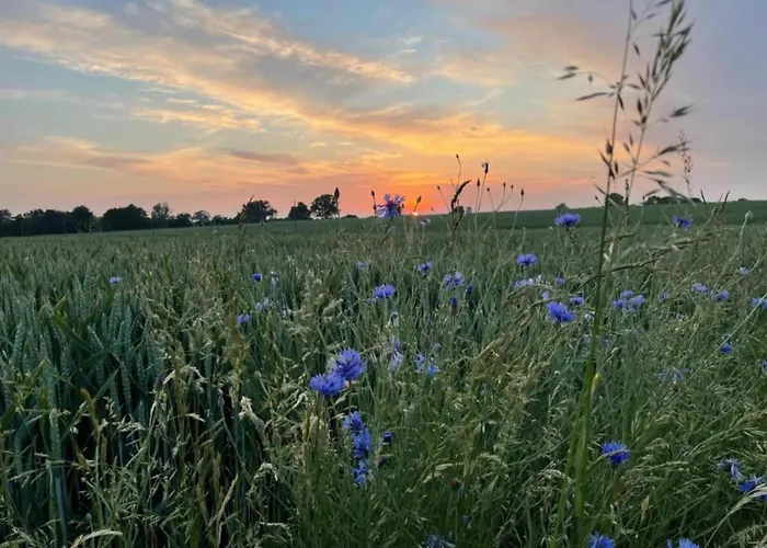 Διαμέρισμα In Nahe Ostsee *