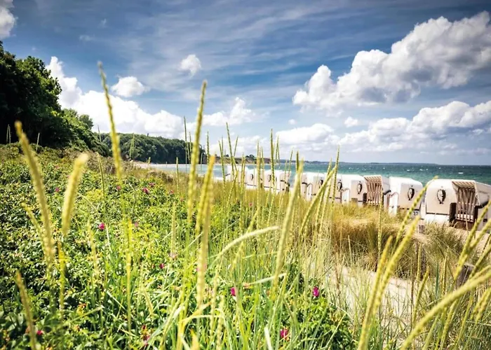 In Nahe Ostsee * Zarnewanz