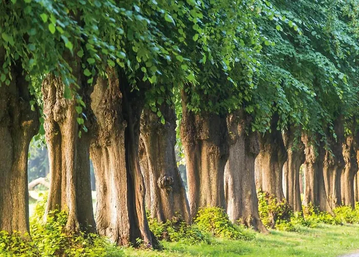 In Nahe Ostsee * Zarnewanz