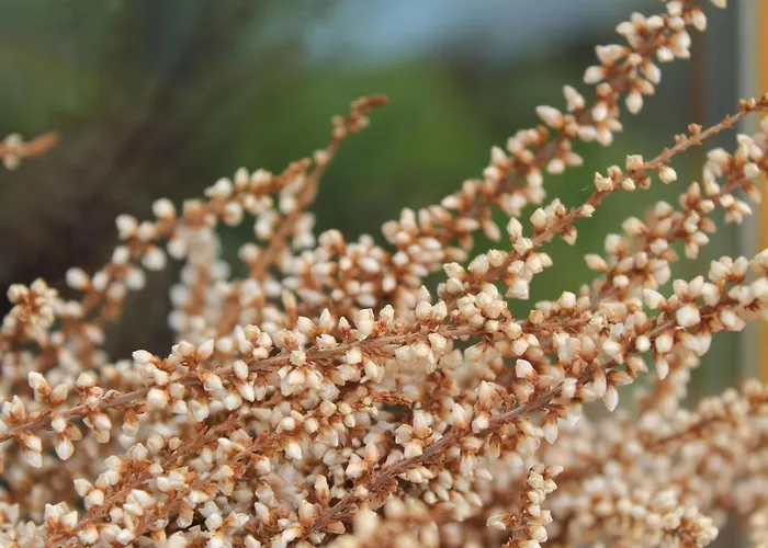 In Nahe Ostsee Zarnewanz