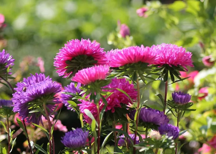 In Nahe Ostsee * Zarnewanz